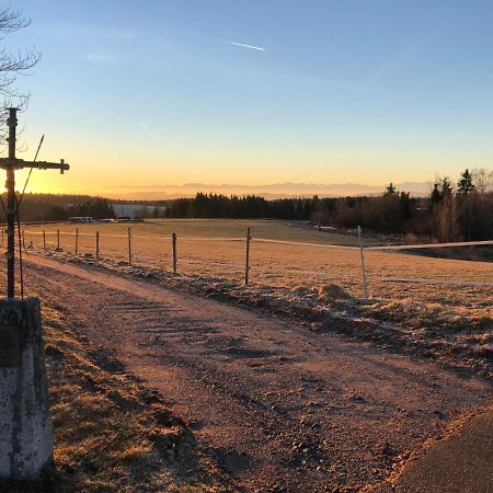 Pfaffensteghof Leilighet Rickenbach  Eksteriør bilde
