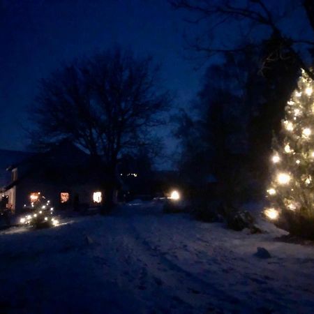 Pfaffensteghof Leilighet Rickenbach  Eksteriør bilde