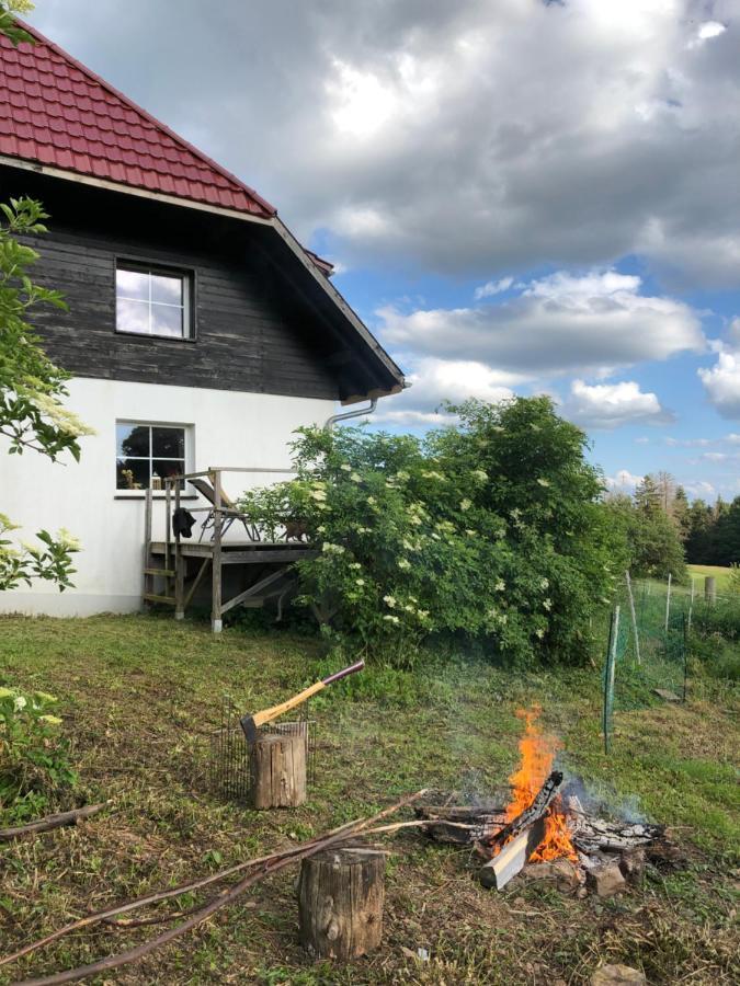 Pfaffensteghof Leilighet Rickenbach  Eksteriør bilde