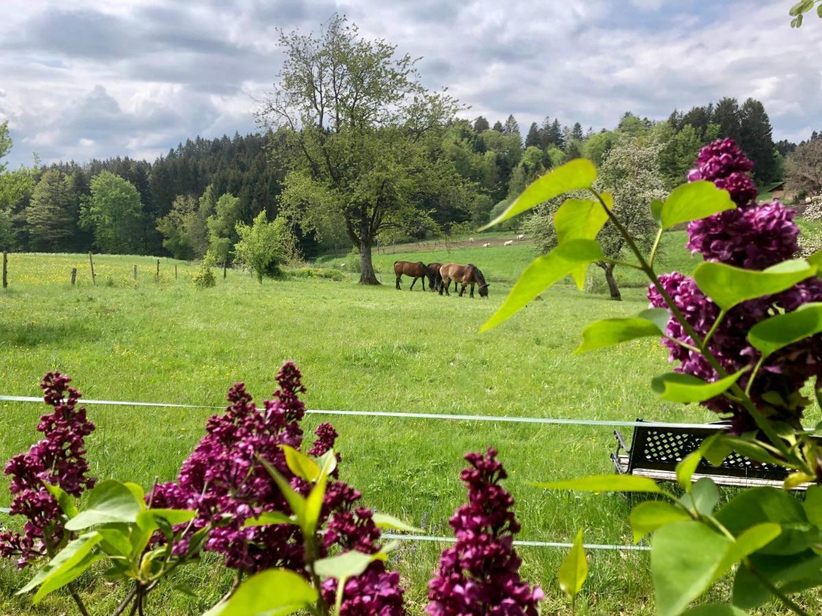 Pfaffensteghof Leilighet Rickenbach  Eksteriør bilde