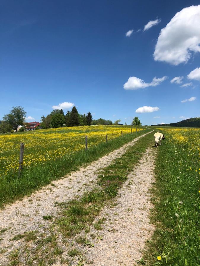 Pfaffensteghof Leilighet Rickenbach  Eksteriør bilde